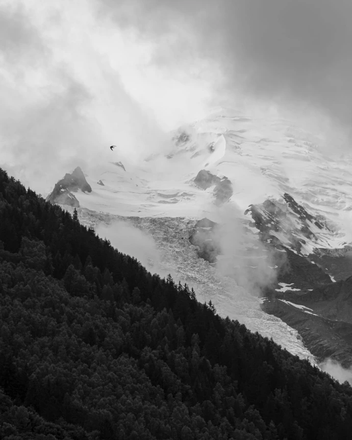glacier montagne oiseau neige glace arbres herbe nuages ciel