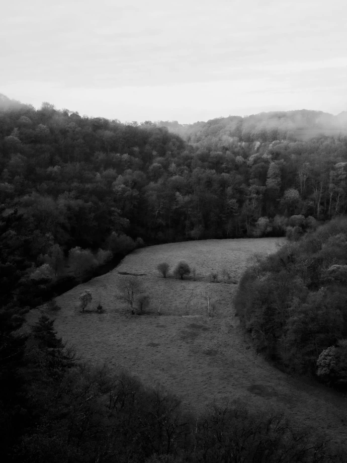 rivière arbres herbe paysages nuages ciel