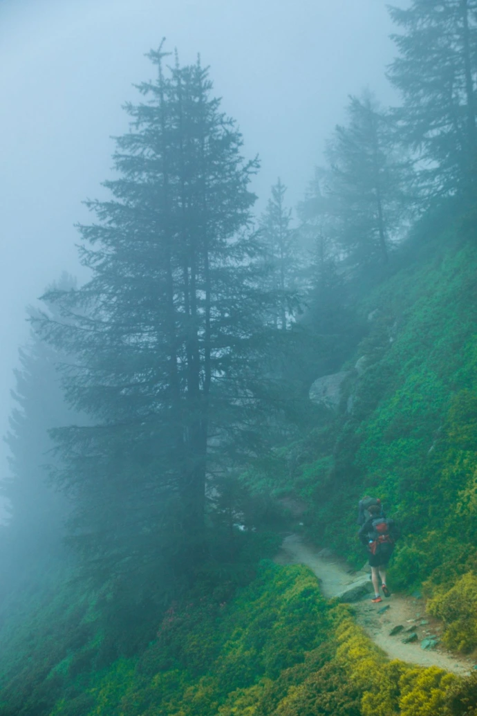 randonnée sac à dos arbres brouillard chemin col herbe vert couleurs branche mystère