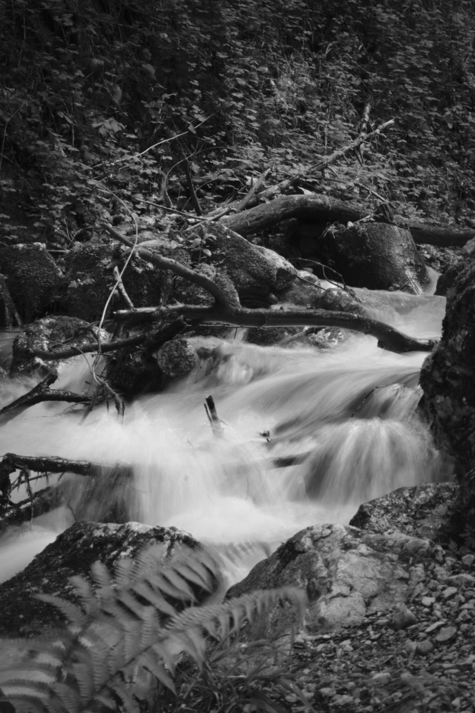 rivière longue exposition herbe eau