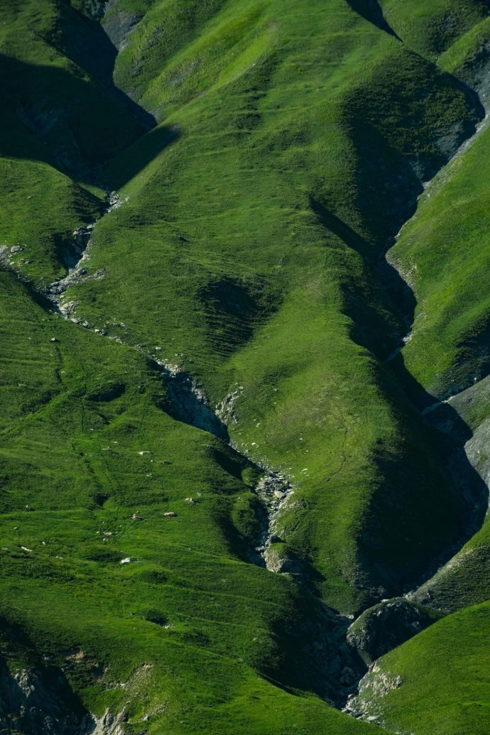 herbe de montagne soleil ombres