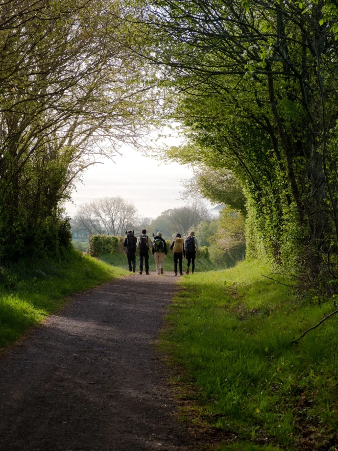 gens soleil arbres chemin rêveur randonnée route