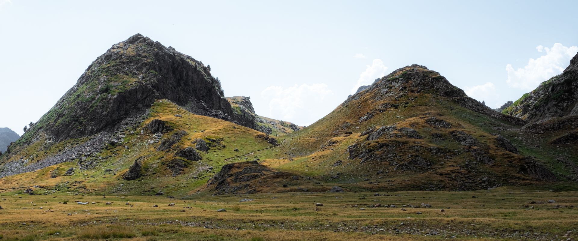 paysages montagne collines herbe chemin col roches nature faune