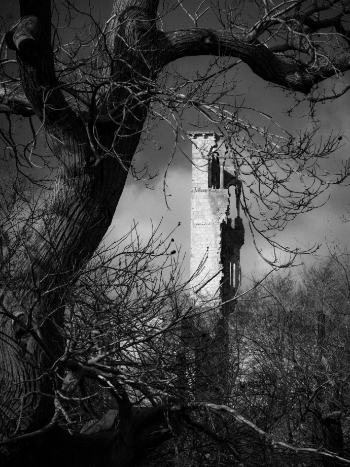tour arbres noir et blanc contrastes ciel nuages abbaye