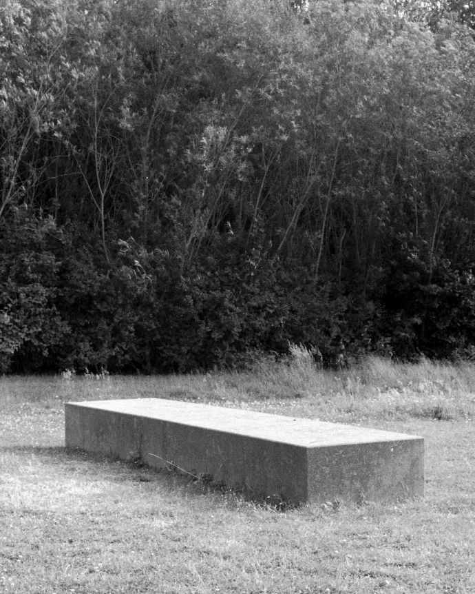 banc noir et blanc arbres herbe contrastes